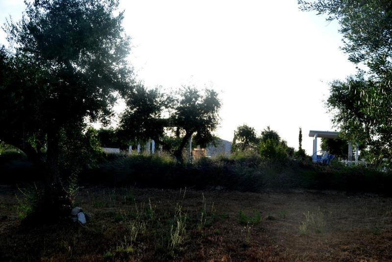 L'uliveto Apartment